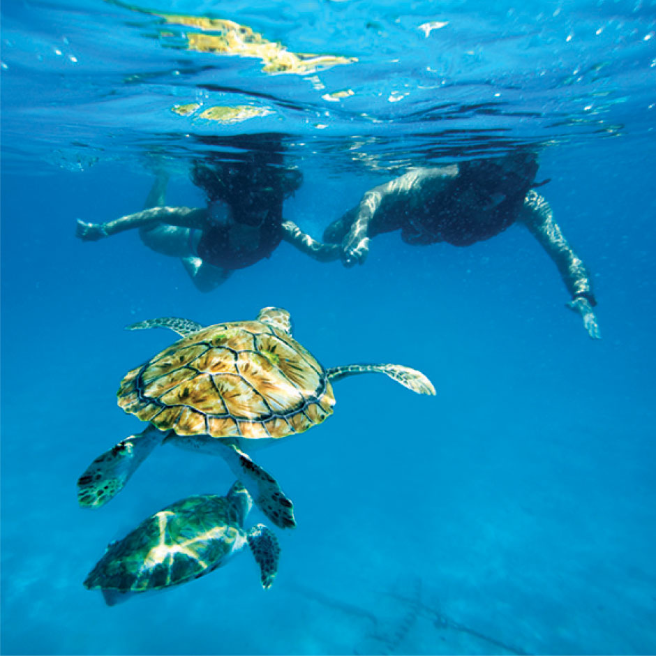 Crystal Springs Barbados - Activities
